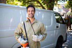 Best Residential Pest Control  in Buckner, MO